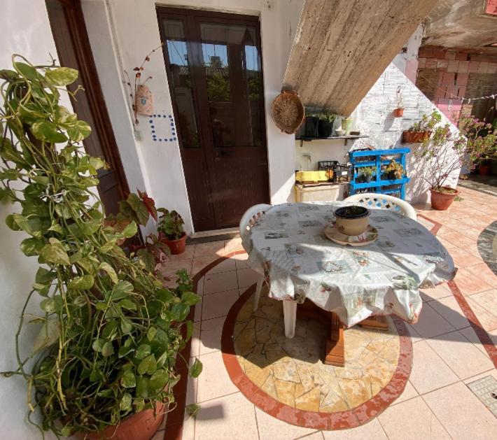 Shaka Guest House Giba Ngoại thất bức ảnh